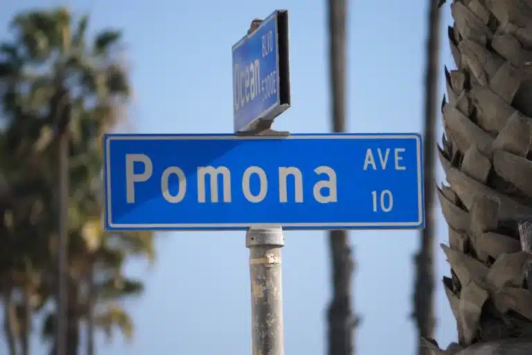 Close-up of Pomona Avenue street sign with palm trees in the background under sunny California skies.